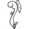 De Witte Haring